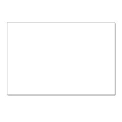 Postcard 7  x 5  (Pkg of 10)