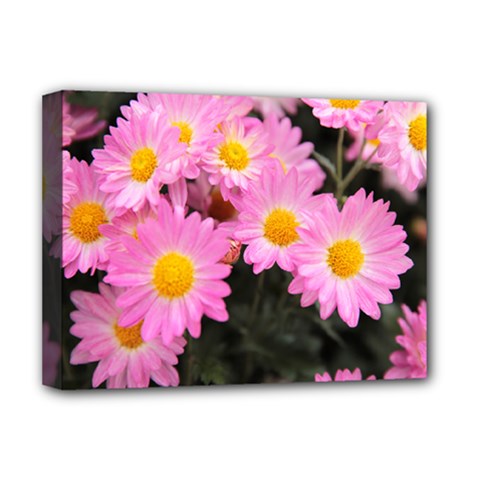 flower - Deluxe Canvas 16  x 12  (Stretched) 