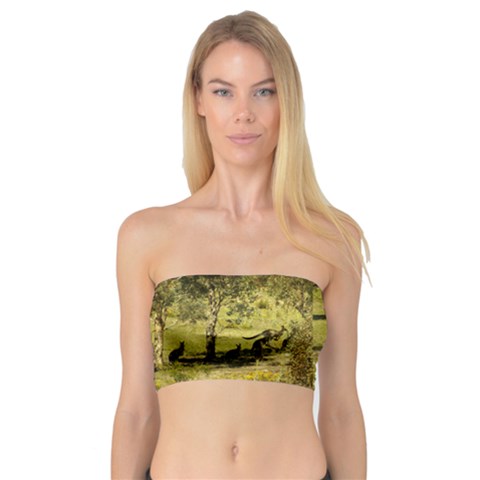 Bandeau Top 