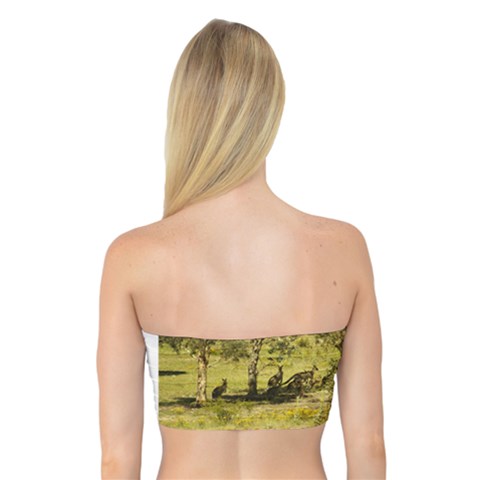 Bandeau Top 