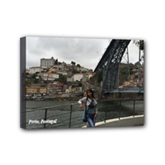 Mini Canvas 7  x 5  (Stretched) 