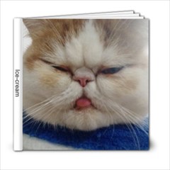 icecream - 6x6 Photo Book (20 pages) icecream - 6x6 Photo Book (20 pages)