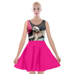 dog in the rain skater dress - Velvet Skater Dress