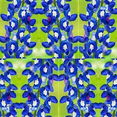 Bluebonnetmacro- Fabric