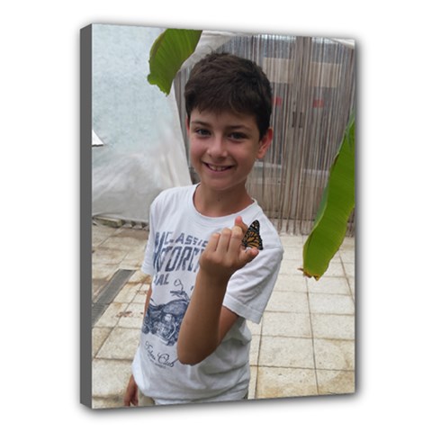 eitan3 - Canvas 16  x 12  (Stretched)
