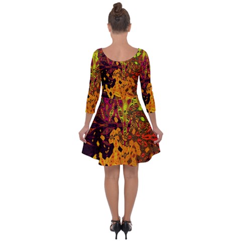 Quarter Sleeve Skater Dress 
