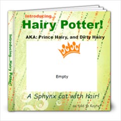 Hairy Potter - 8x8 Photo Book (20 pages)