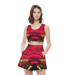 Women s Crop Top Pleated Skater Rave Skirt