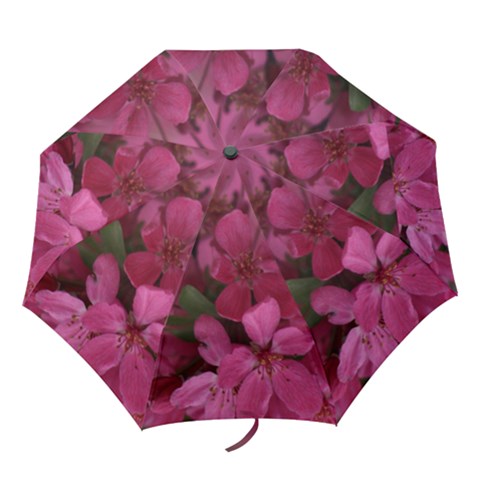 Folding Umbrella 