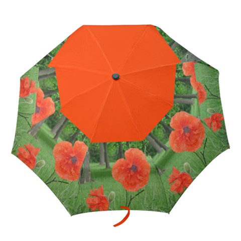 Folding Umbrella 