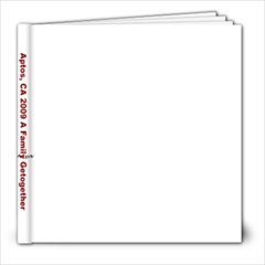 Family Reunion 2009 - 8x8 Photo Book (20 pages)