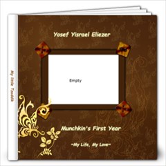 First year - 12x12 Photo Book (20 pages)