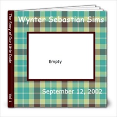 baby boy book - 8x8 Photo Book (20 pages)