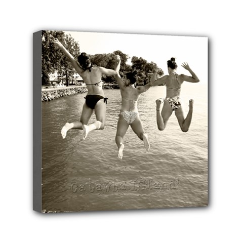 Catawba Fun - Mini Canvas 6  x 6  (Stretched)