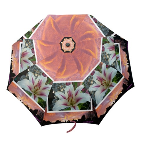 Folding Umbrella 