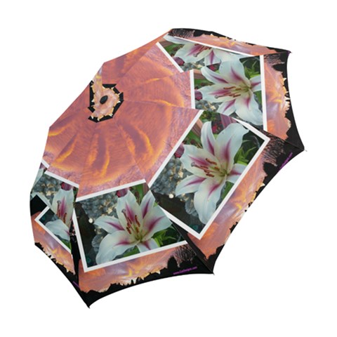 Folding Umbrella 