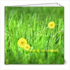 spring is coming - 8x8 Photo Book (20 pages) spring is coming - 8x8 Photo Book (20 pages)