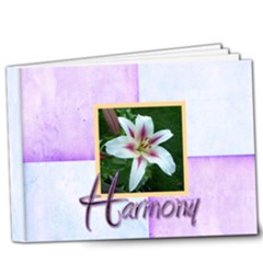 Harlequin Harmony Deluxe 9 X 7 20 Page Book