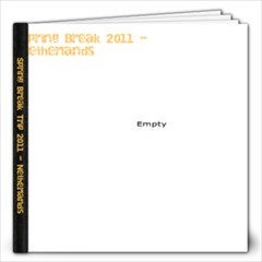 Spring break - 12x12 Photo Book (20 pages)