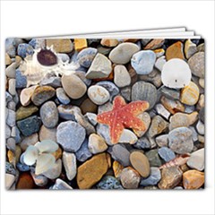 Ocean Fun - 7x5 Photo Book (20 pages) Ocean Fun - 7x5 Photo Book (20 pages)