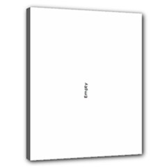 Canvas 20  x 16  (Stretched) 