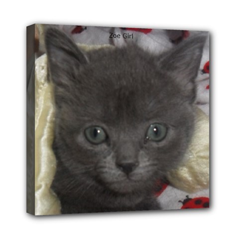 zoe canvas - Mini Canvas 8  x 8  (Stretched)