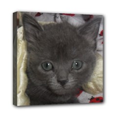 Mini Canvas 8  x 8  (Stretched) 