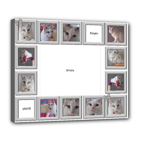 Good Kitty Deluxe 24x20 Stretched Canvas - Deluxe Canvas 24  x 20  (Stretched)
