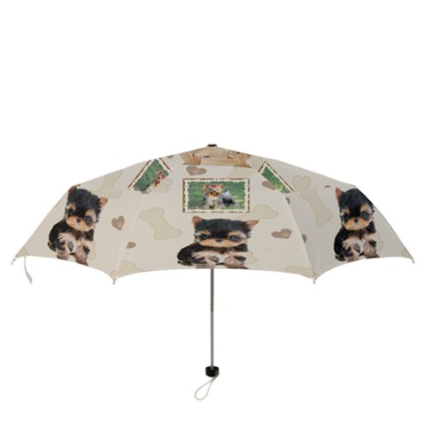 Folding Umbrella 