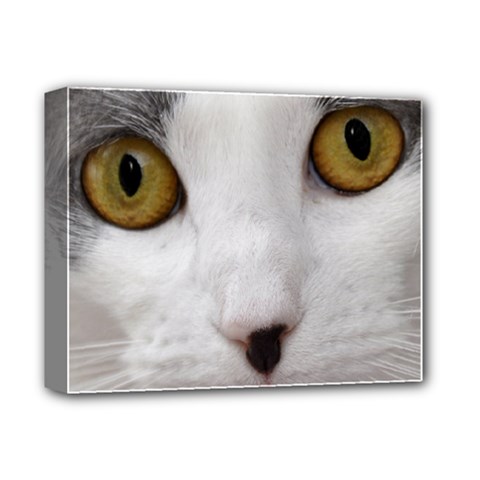 Schwiers Sample - Deluxe Canvas 14  x 11  (Stretched)
