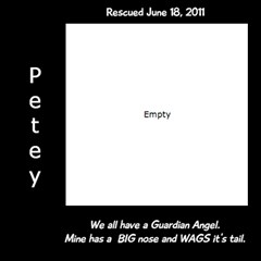 petey blk side name - ScrapBook Page 12  x 12 