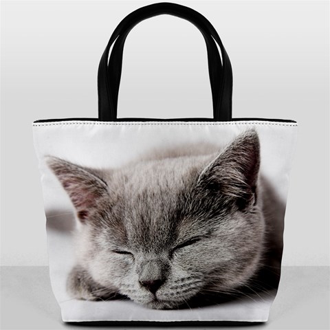 Cat By Divad Brown Front
