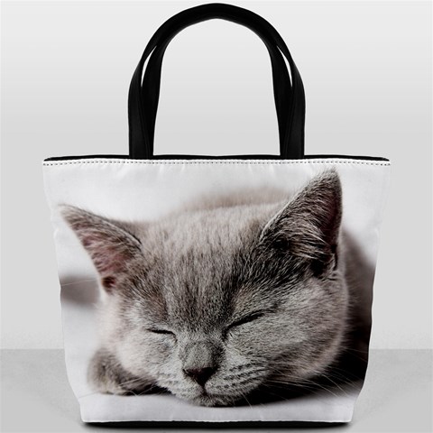 Cat By Divad Brown Back