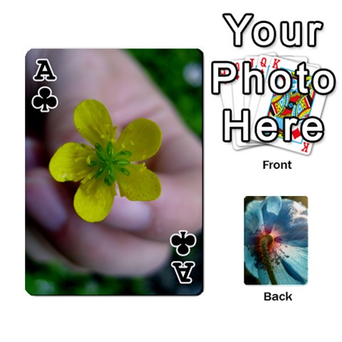 Ace Playing Cards By Molly Front - ClubA