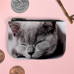 cat - Mini Coin Purse