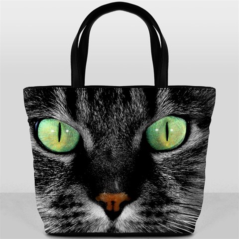 Cat By Divad Brown Back
