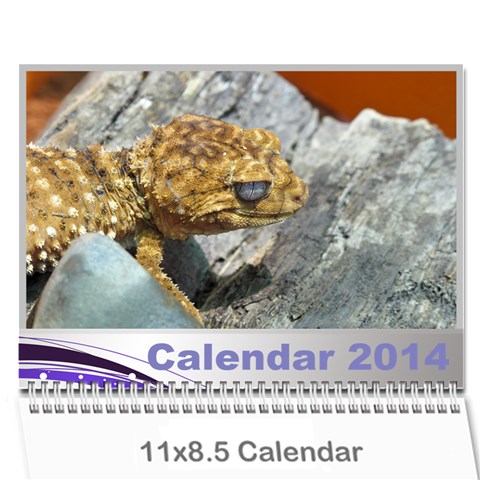 Janine 2014 Calendar By Deborah Cover