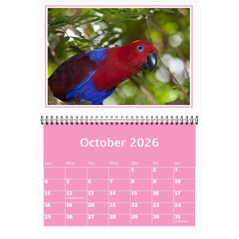 Pink Princess Wall Calendar (any Year) 8 5x6 By Deborah Oct 2026