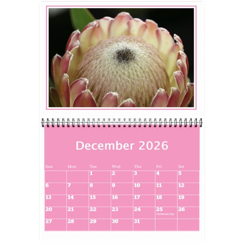 Pink Princess Wall Calendar (any Year) 8 5x6 By Deborah Dec 2026