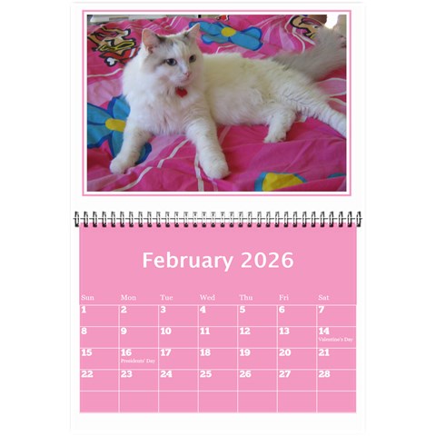 Pink Princess Wall Calendar (any Year) 8 5x6 By Deborah Feb 2026