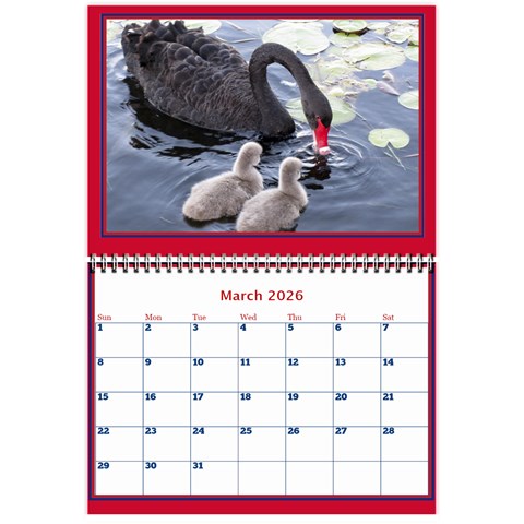 A Little Perfect Wall Calendar 8 5x6 By Deborah Mar 2026