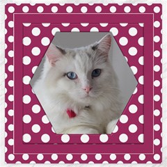 princess Canvas 20x20 - Canvas 20  x 20 
