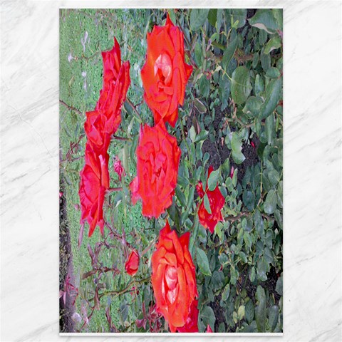 Canvas By Boris Boruchov 11.88 x17.36  Canvas - 1