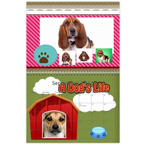 Dog By Pet Sep 2014