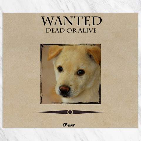 Wanted By Divad Brown 8.15 x9.66  Canvas - 1