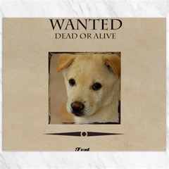 wanted - Canvas 11  x 14 
