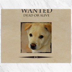 wanted - Canvas 12  x 16 