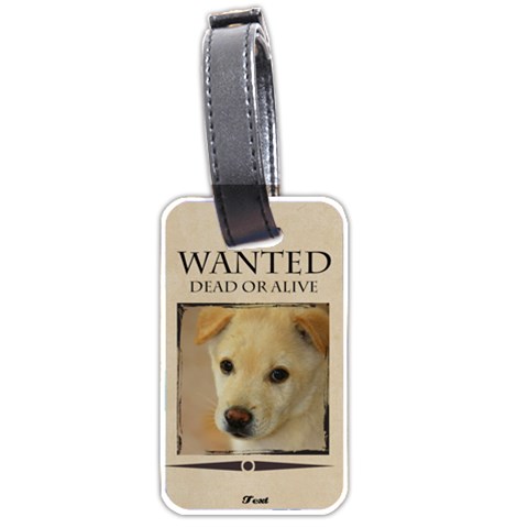Wanted By Divad Brown Back