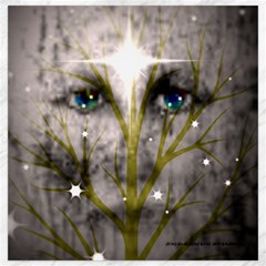 Canvas 20  x 20 