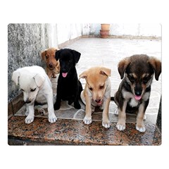  Blanket puppy  - 80  x 56  Two Sides Premium Plush Fleece Blanket (Large)